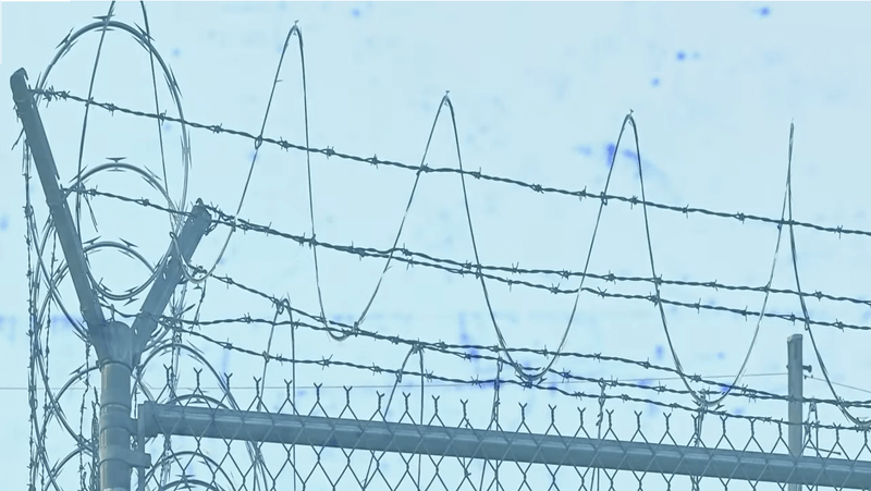 Photo of the top of a fence covered in barbed wire