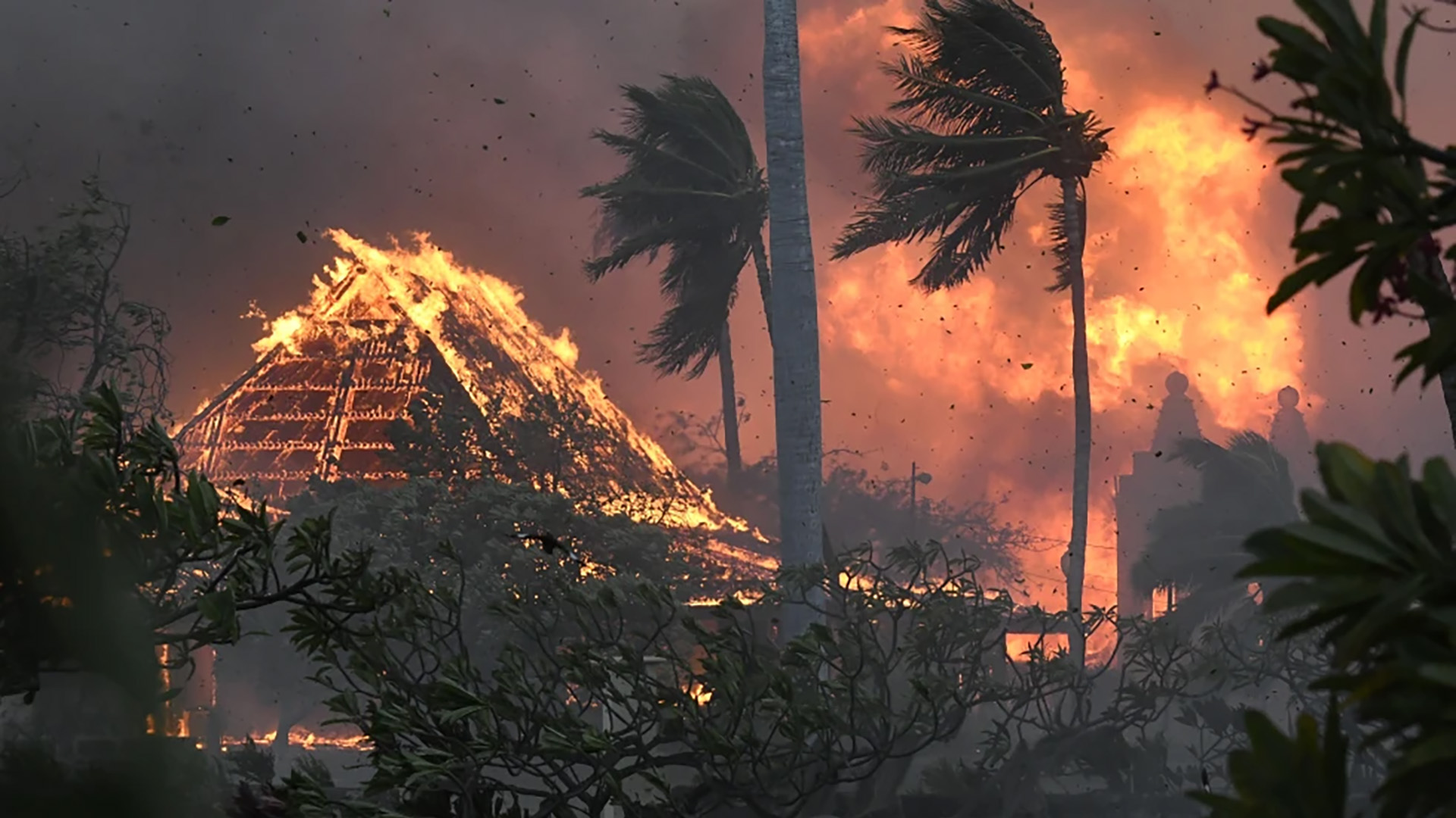 Deadly Maui Wildfires